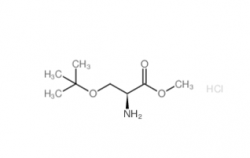 H-Ser(tBu)-OMe·HCl CAS No.: 17114-97-5