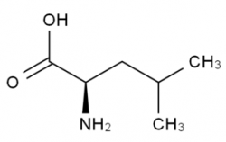 H-D-Leu-OH CAS号：328-38-1