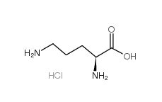 H-Orn-OH·HCl CAS No.: 3184-13-2