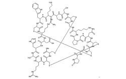 精氨酸/賴氨酸多肽